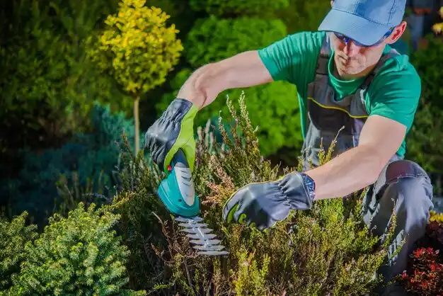 landscaping services Manhasset Hills